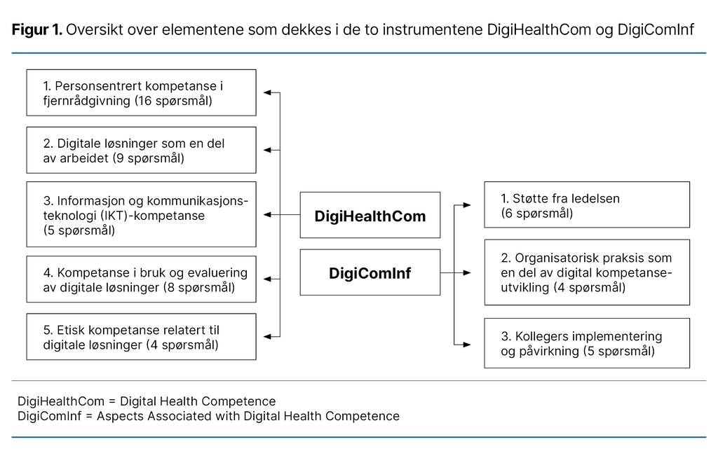 Figur 1. Oversikt over elementene som dekkes i de to instrumentene DigiHealthCom og DigiComInf  
