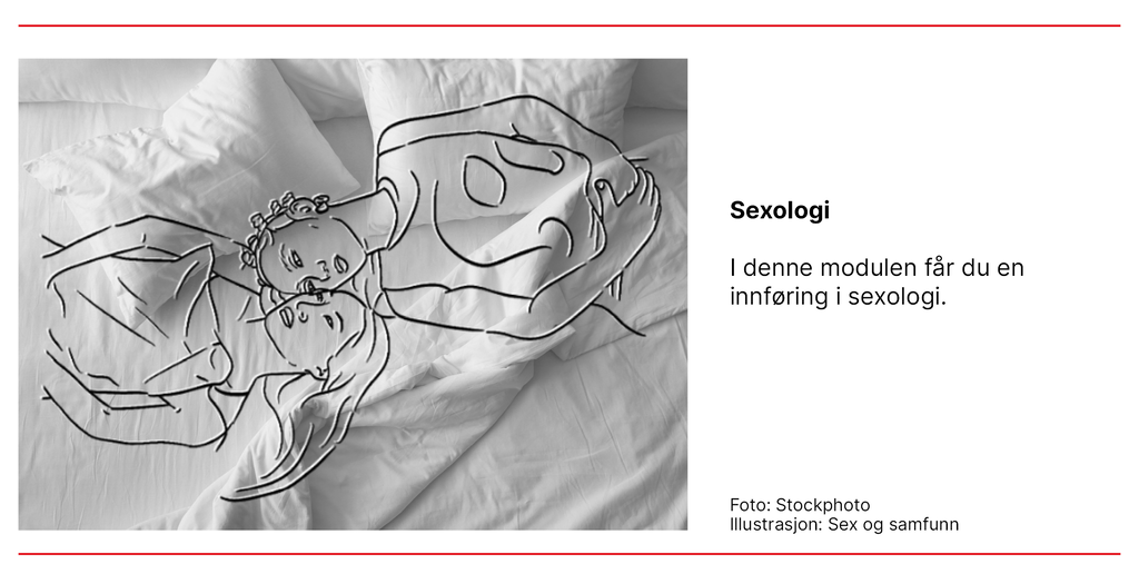 Bildet viser en illustrasjon av et kurs i sexologi