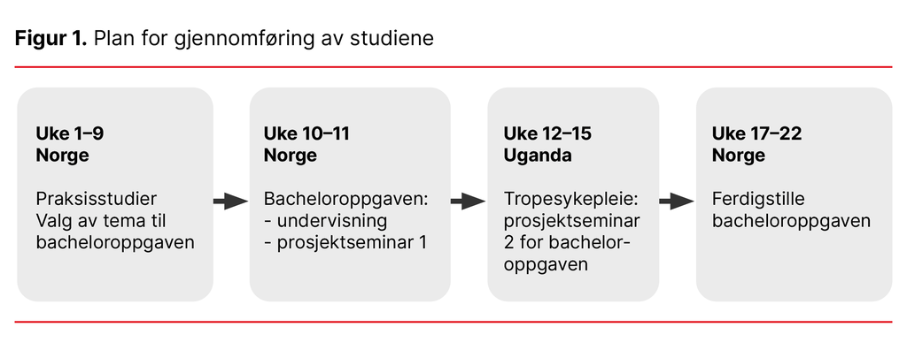 Figur 1. Plan for gjennomføring av studiene