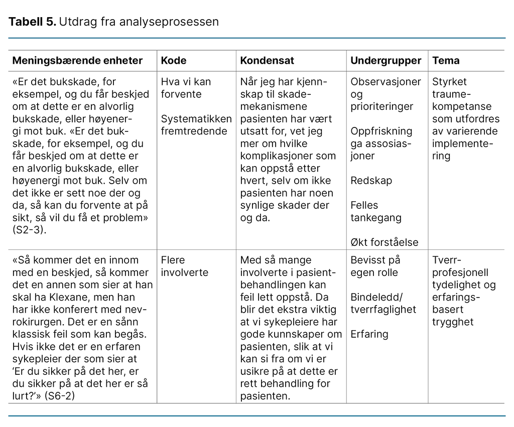 Tabell 5. Utdrag fra analyseprosessen