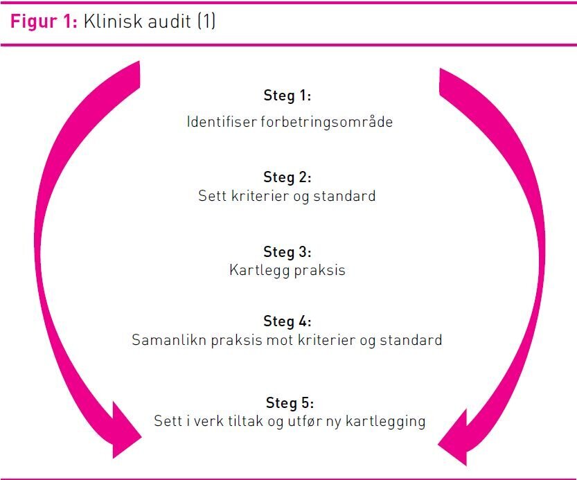 Dokumentasjon Og Oppfølging Av Bebuarar Med Diabetes I Sjukeheim