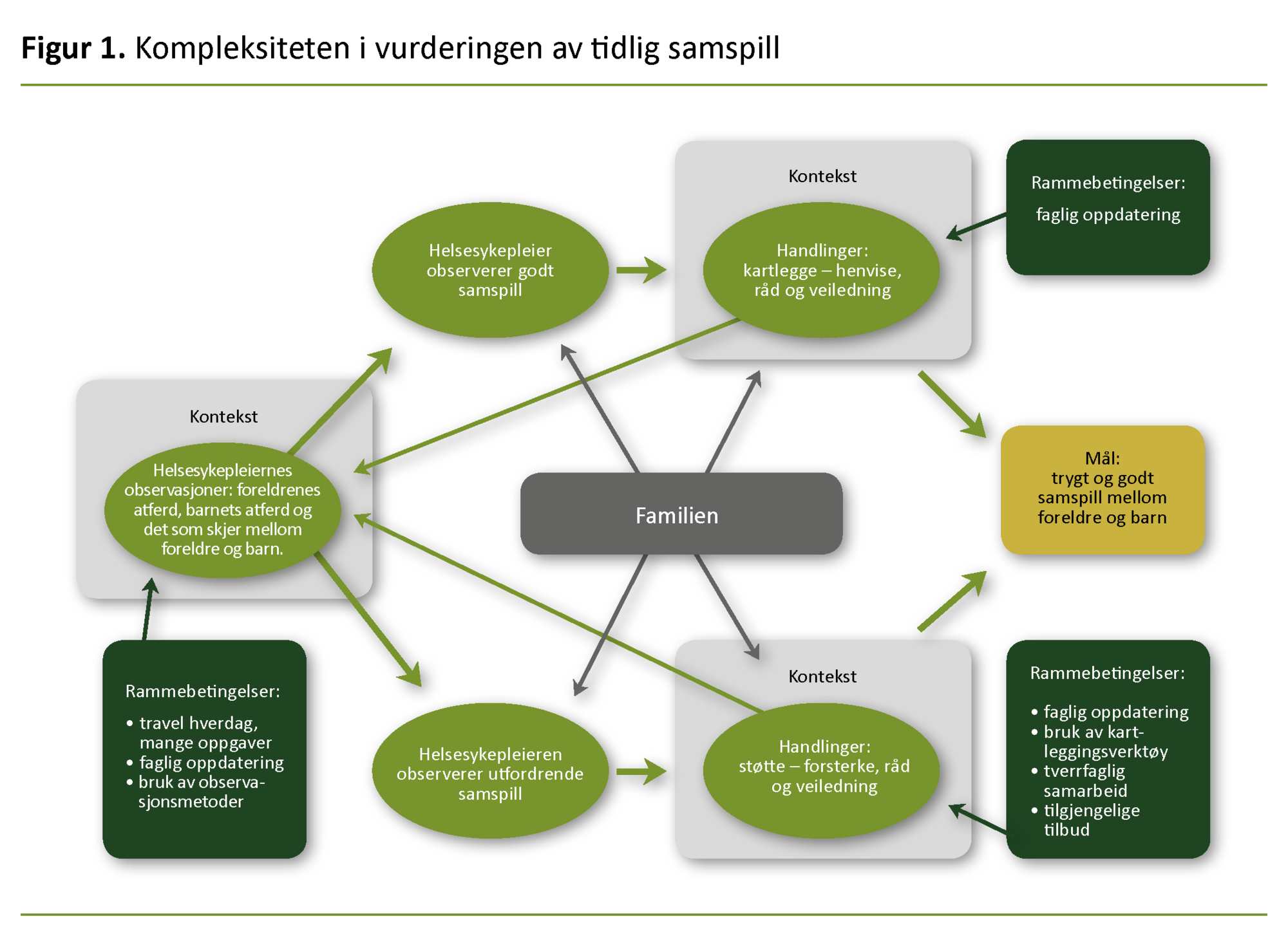 Figur 1. Kompleksiteten i vurderingen av tidlig samspill Figur 1. Kompleksiteten i vurderingen av tidlig samspill