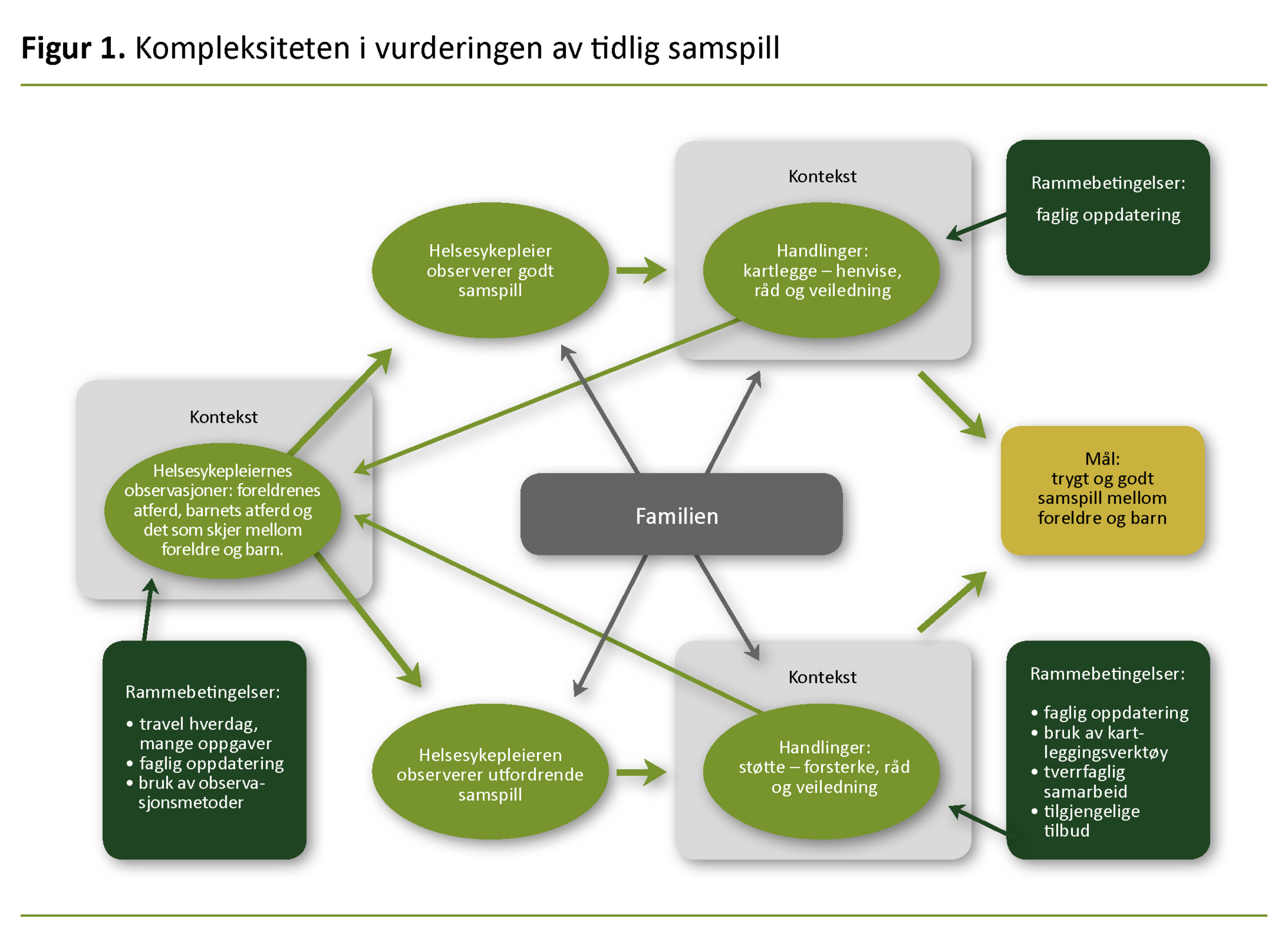 Helsesykepleiere Ma Ha Mer Oppmerksomhet Pa Samspill Ved Hjemmebesok