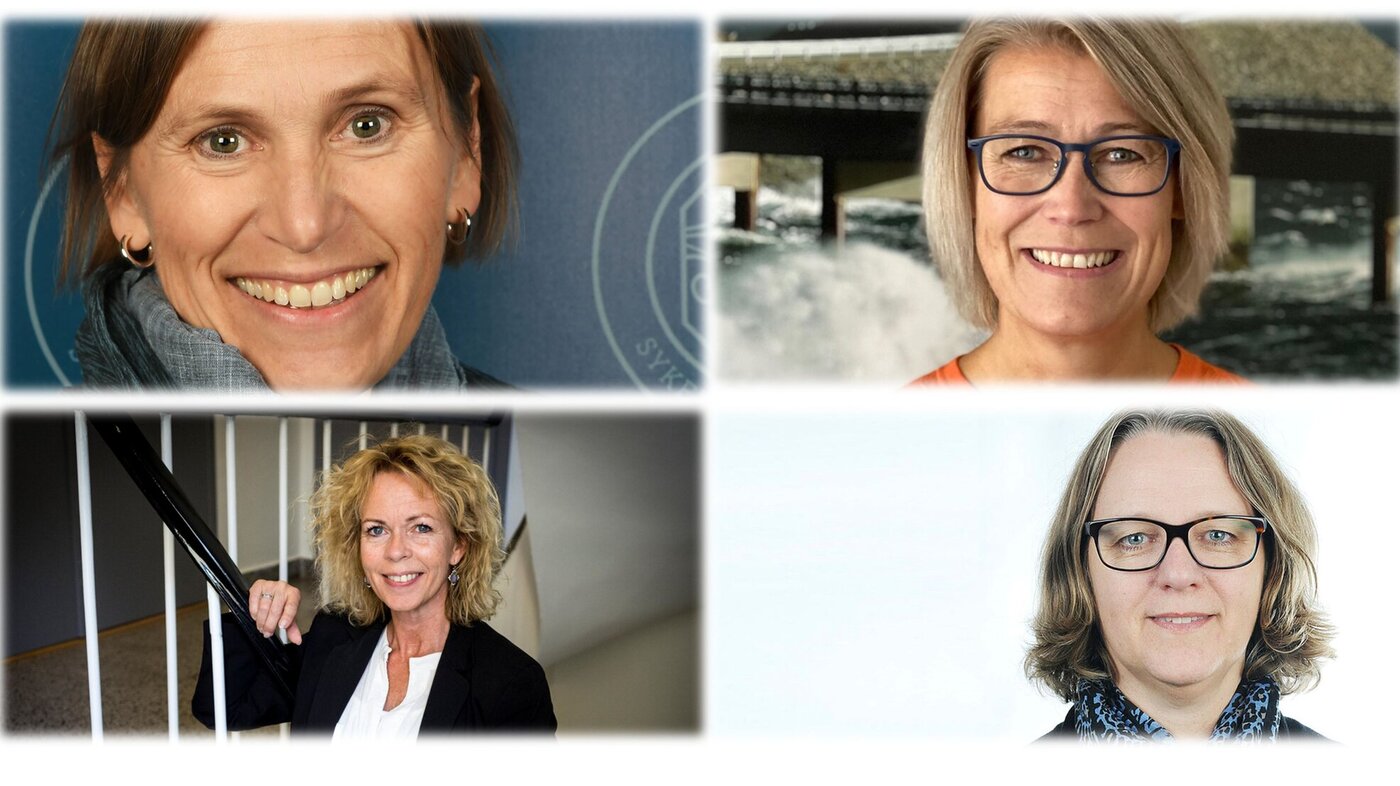 fire nye fylkesledere bildet viser fire nye fylkesledere