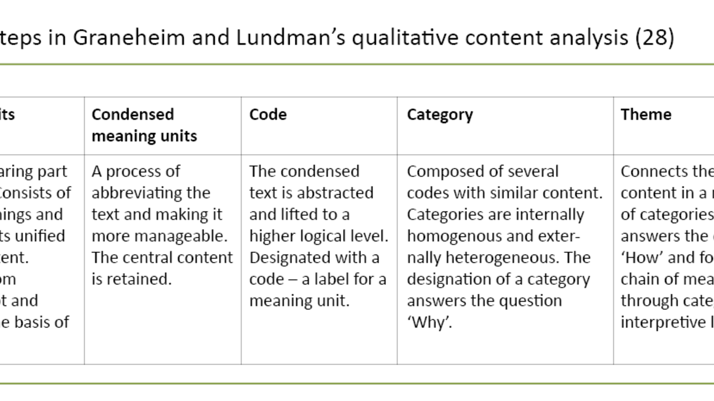 Themes and identified meaning-units