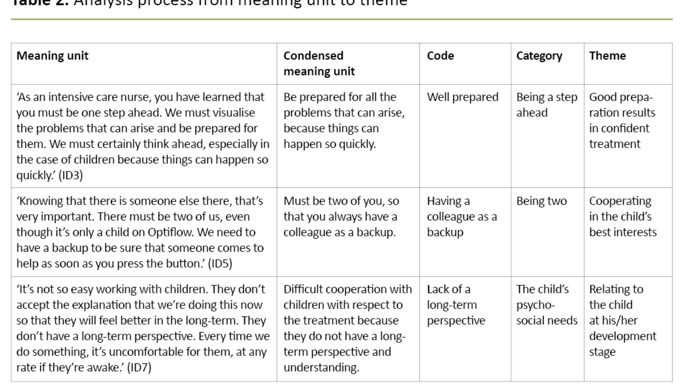 Themes and identified meaning-units