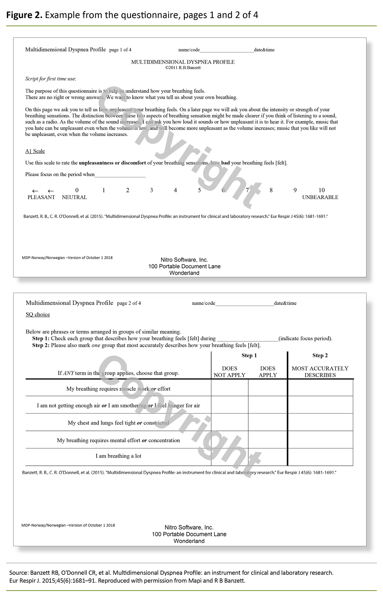 Figure 2. Example from the questionnaire, pages 1 and 2 of 4 Figure 2. Example from the questionnaire, pages 1 and 2 of 4