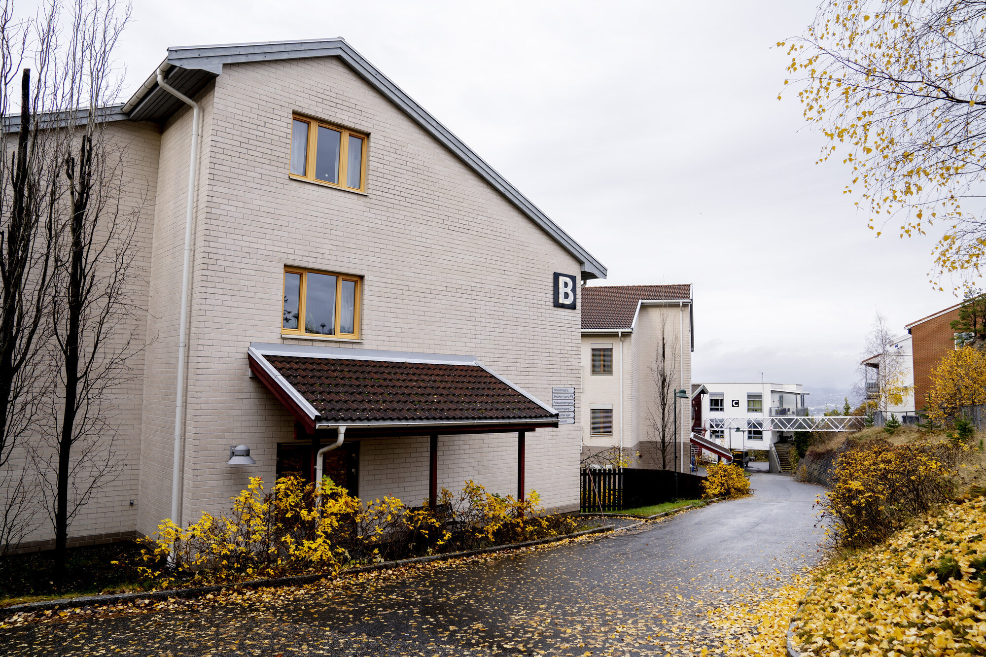 Deler av Nesoddtunet bildet viser Nesoddtunet