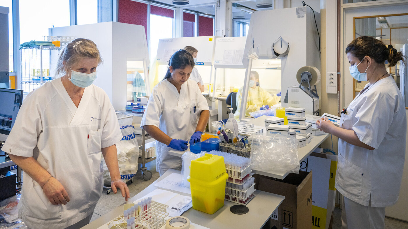 Bildet viser bioingeniører som jobber med koronaprøver.