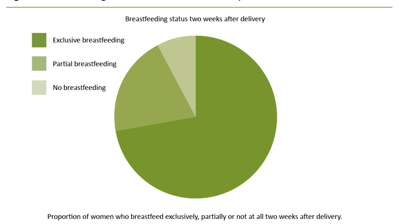 Figure 1. Breastfeeding status two weeks after delivery