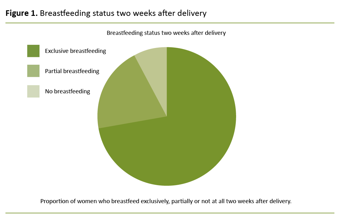 Figure 1. Breastfeeding status two weeks after delivery Figure 1. Breastfeeding status two weeks after delivery