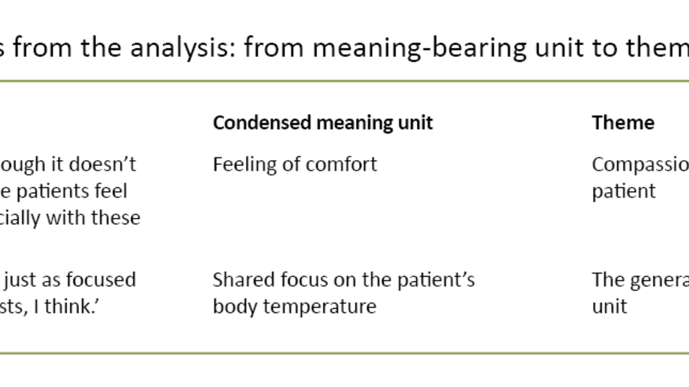 Table 2. Examples from the analysis: from meaning-bearing unit to theme