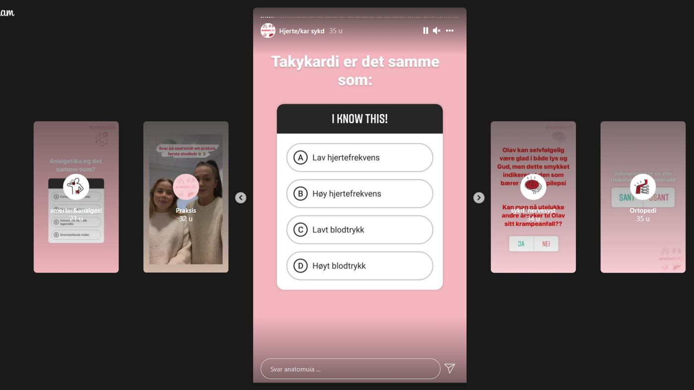 Skjermdump, Instagram Bildet viser en skjermdump av story fra Instagram.