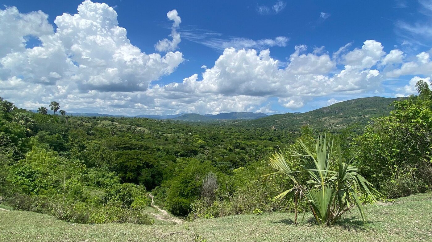 L´Asile, Haiti Bildet viser skogområde i L´Asile.