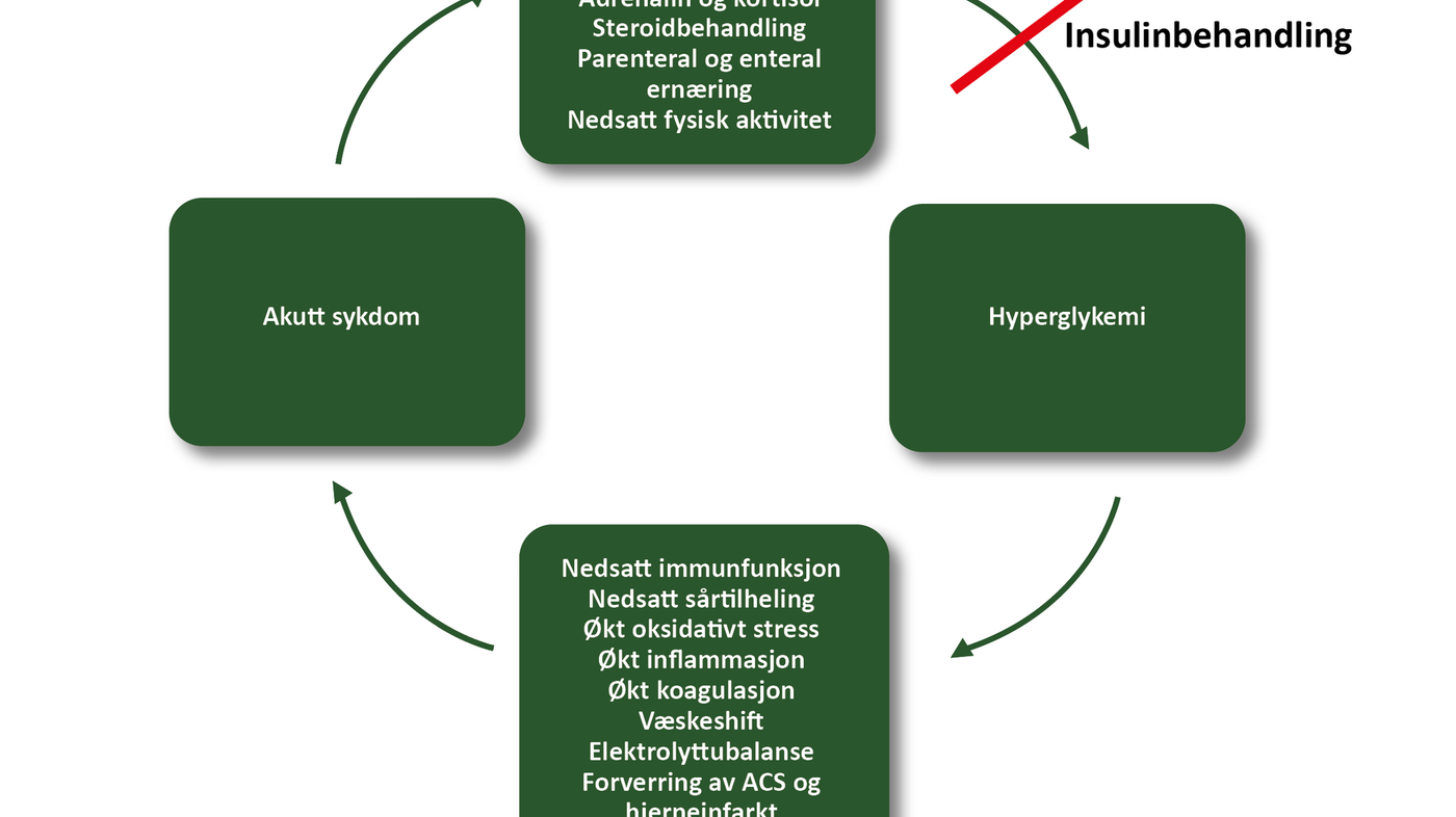 Diabetes Som Bidiagnose – En Utfordring For Sykepleiere