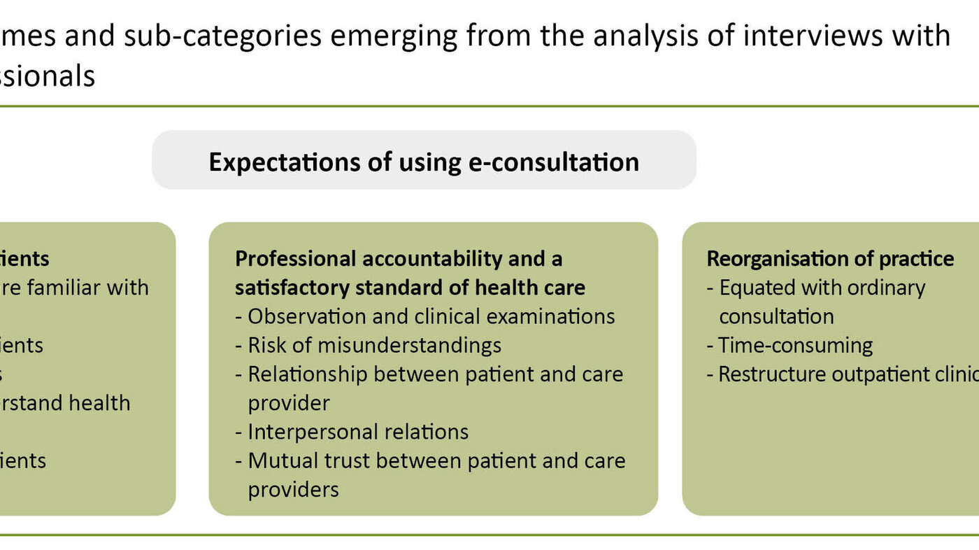 Figure 1. Themes and sub-categories emerging from the analysis of interviews with health professionals 