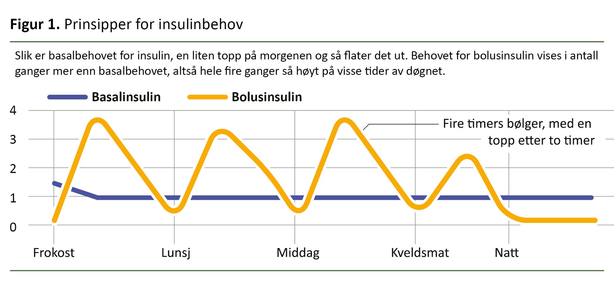 Figur 1. Prinsipper for insulinbehov Figur 1. Prinsipper for insulinbehov