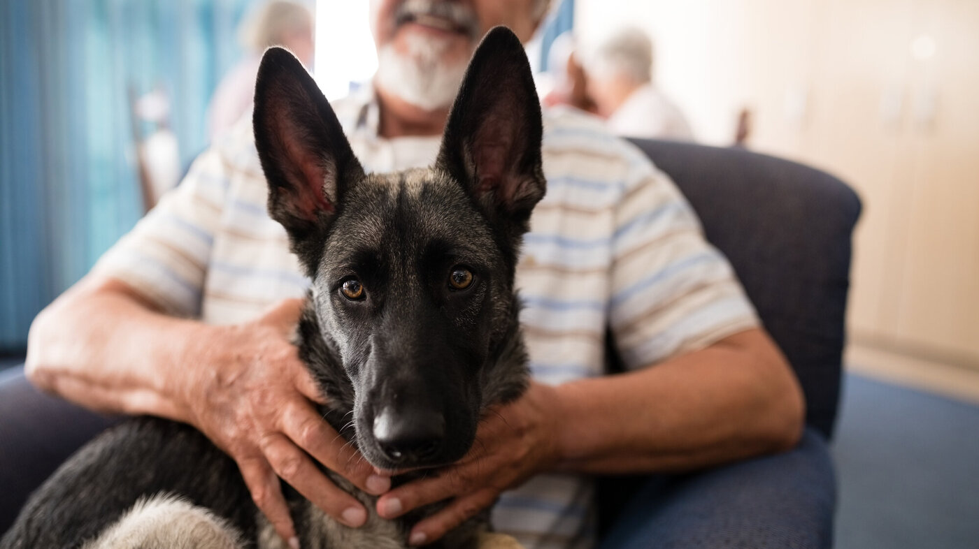 Bildet viser en eldre mann med en hund på fanget.