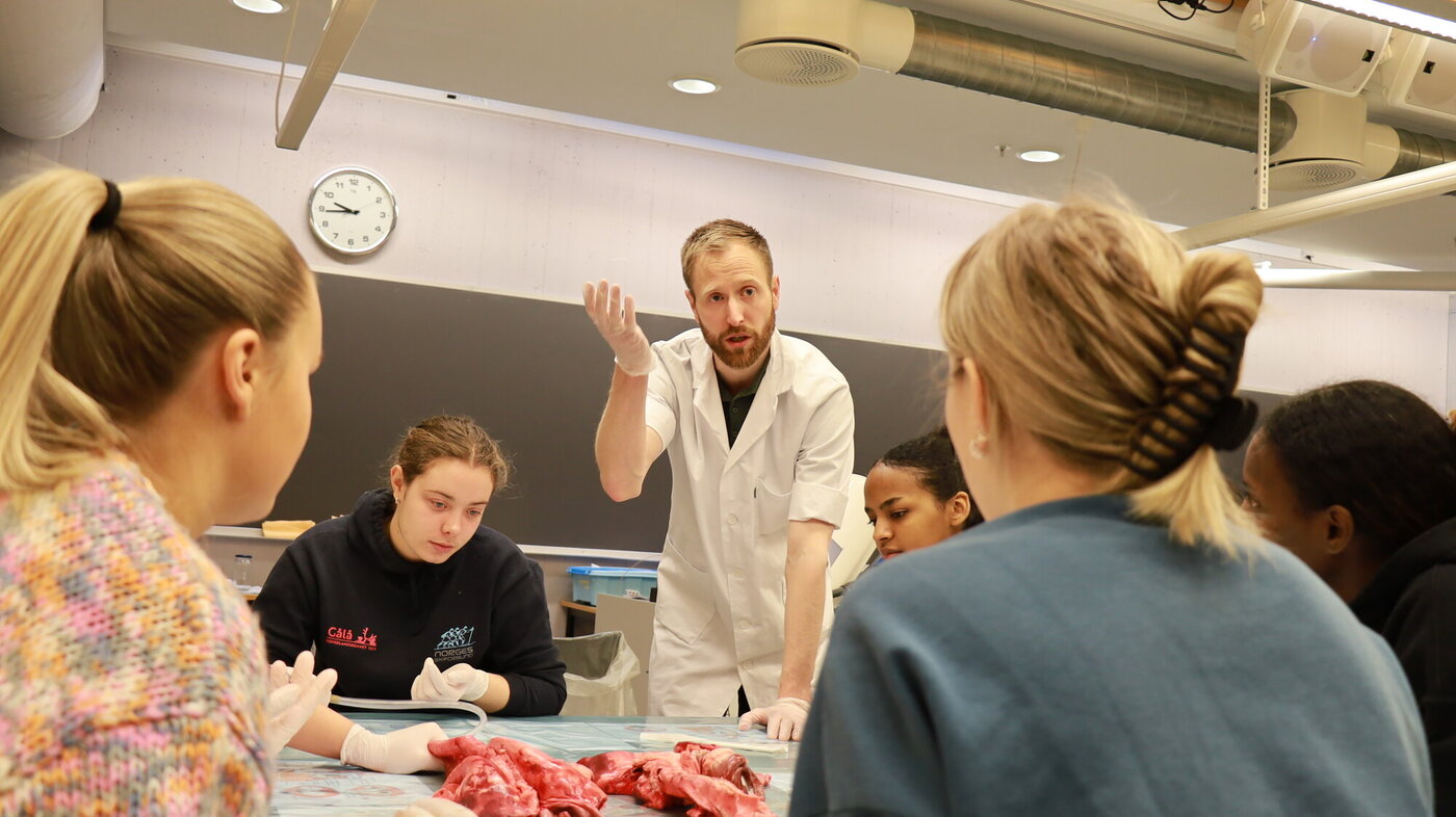 Ole Kristian Brones Berg underviser sykepleierstudenter i anatomi ved Høgskolen i Molde