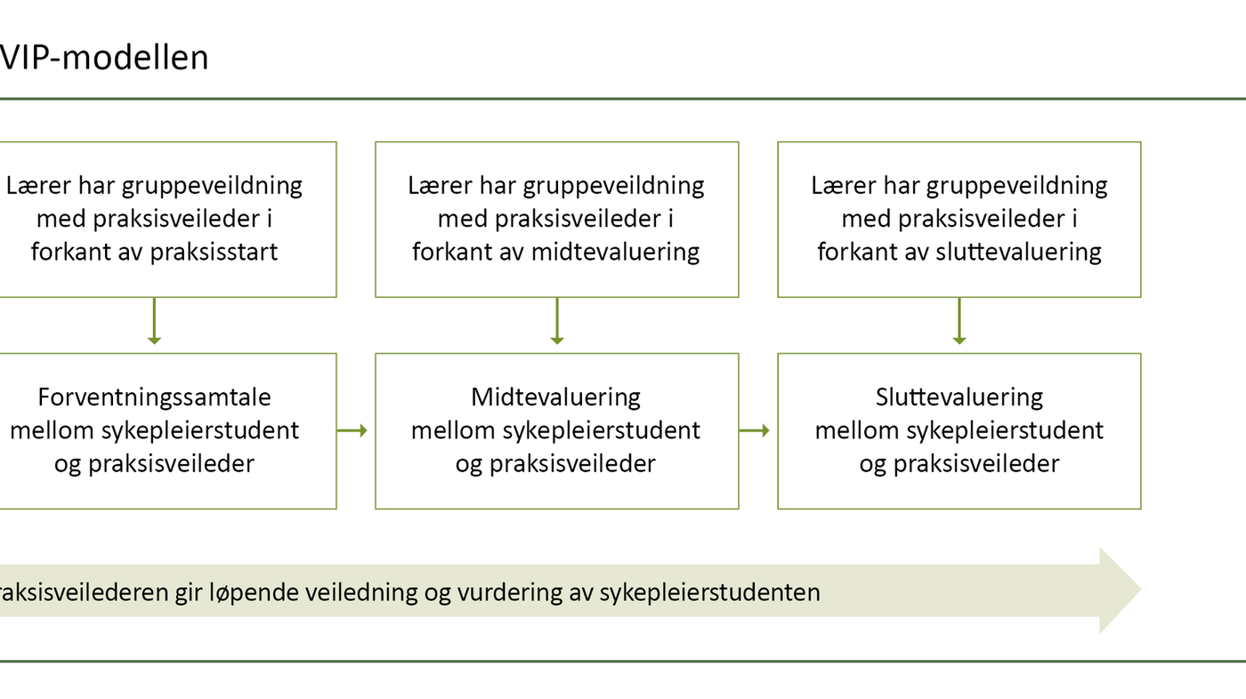 Utprøving Av SVIP-modellen I Praksisstudier I Psykisk Helsearbeid – En ...