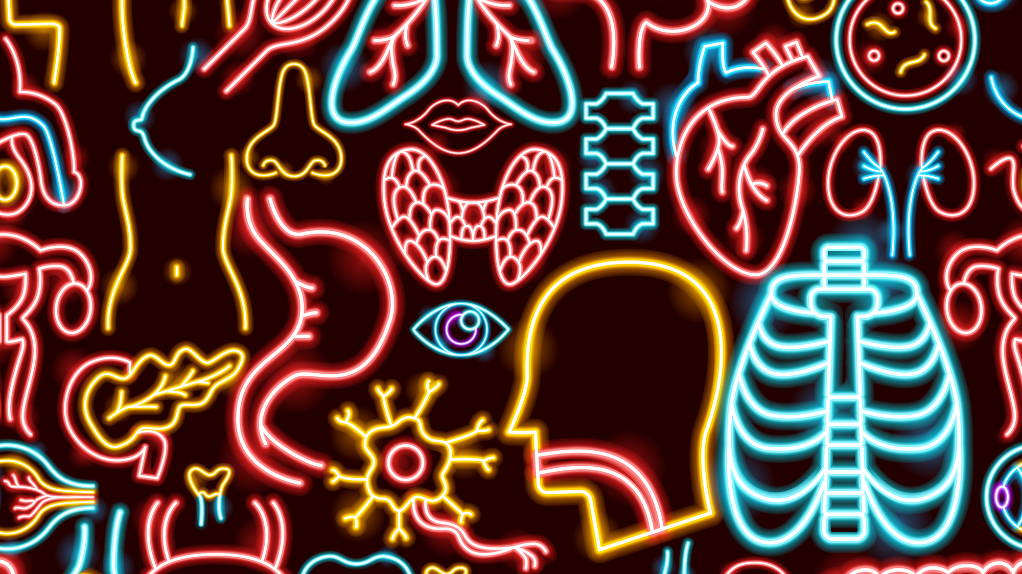 Illustrasjon av kroppsdeler og anatomi