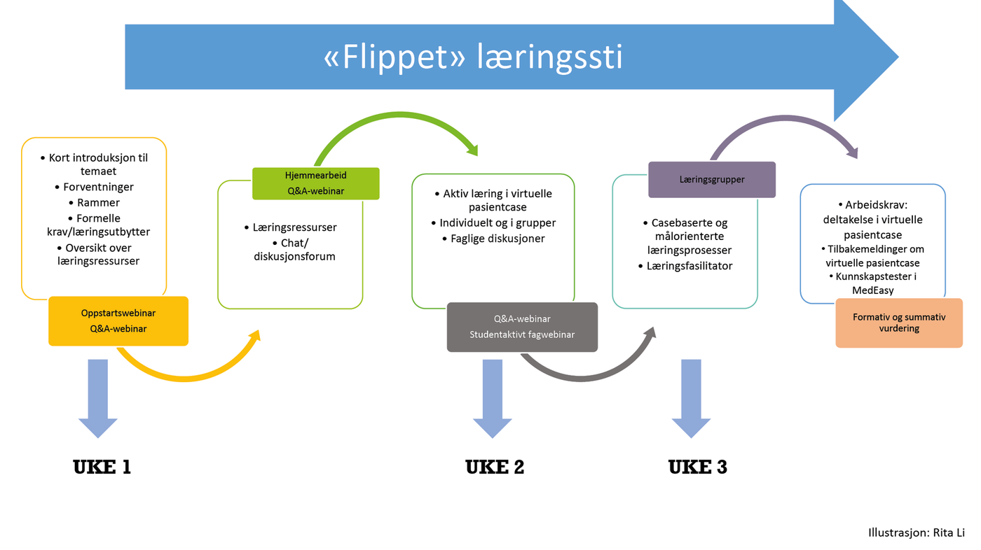 Figur 1. «Flippet» læringssti
