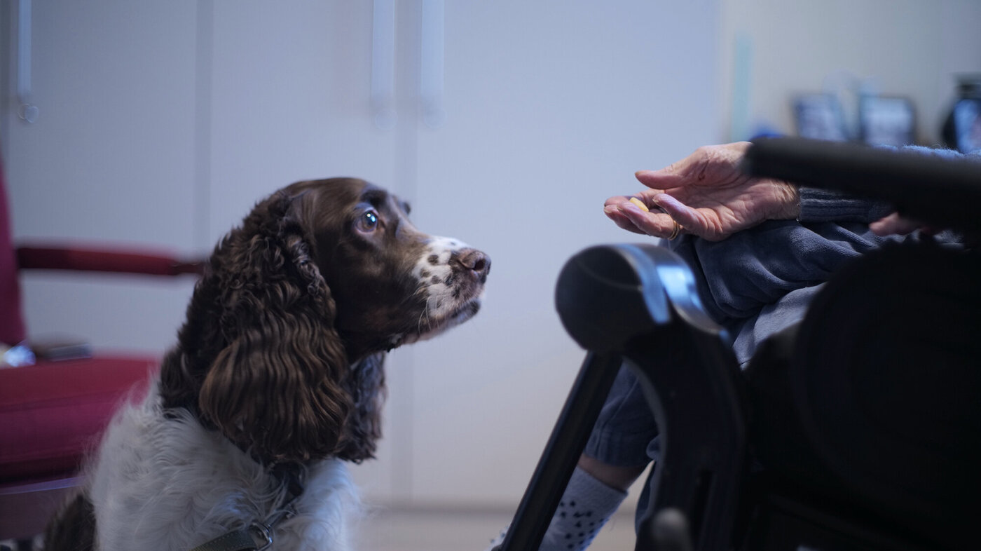 Bildet viser en terapihund som har nærkontakt med en beboer på sykehjem
