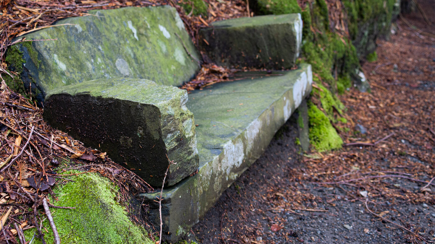 Barnebenk i skogen.