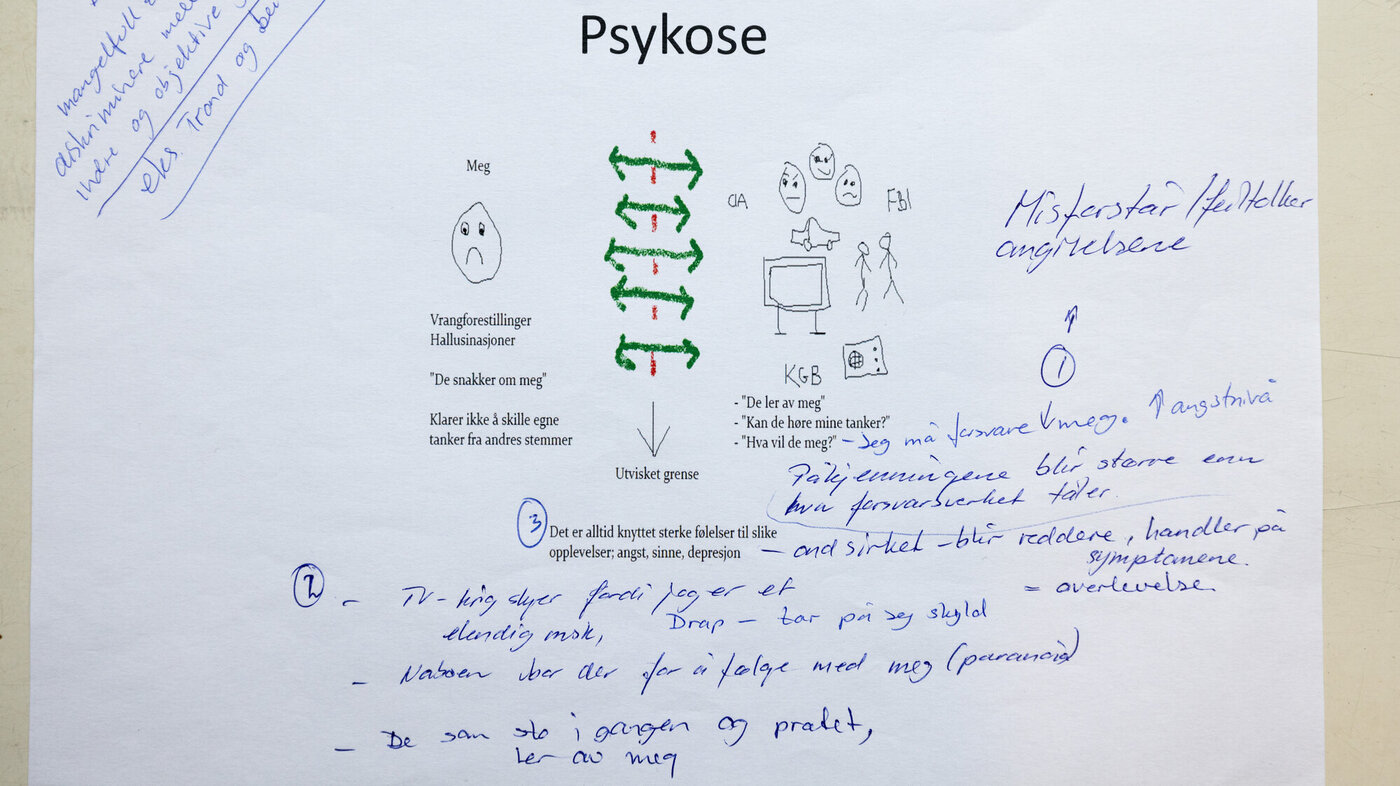 Bildet viser et skjema som illustrerer hvordan en psykose kan arte seg