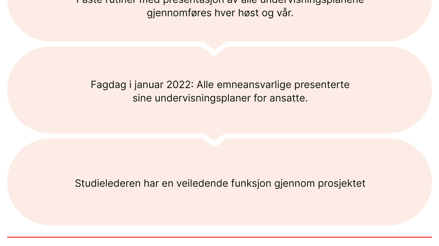 Figur 1. Prosjektoversikt
