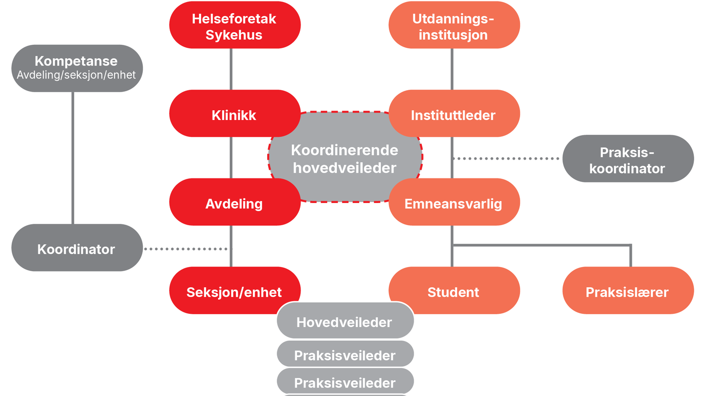 Figur 1. Organisering av praksisstudiene i Helse Sør-Øst Figur 1. Organisering av praksisstudiene i Helse Sør-Øst