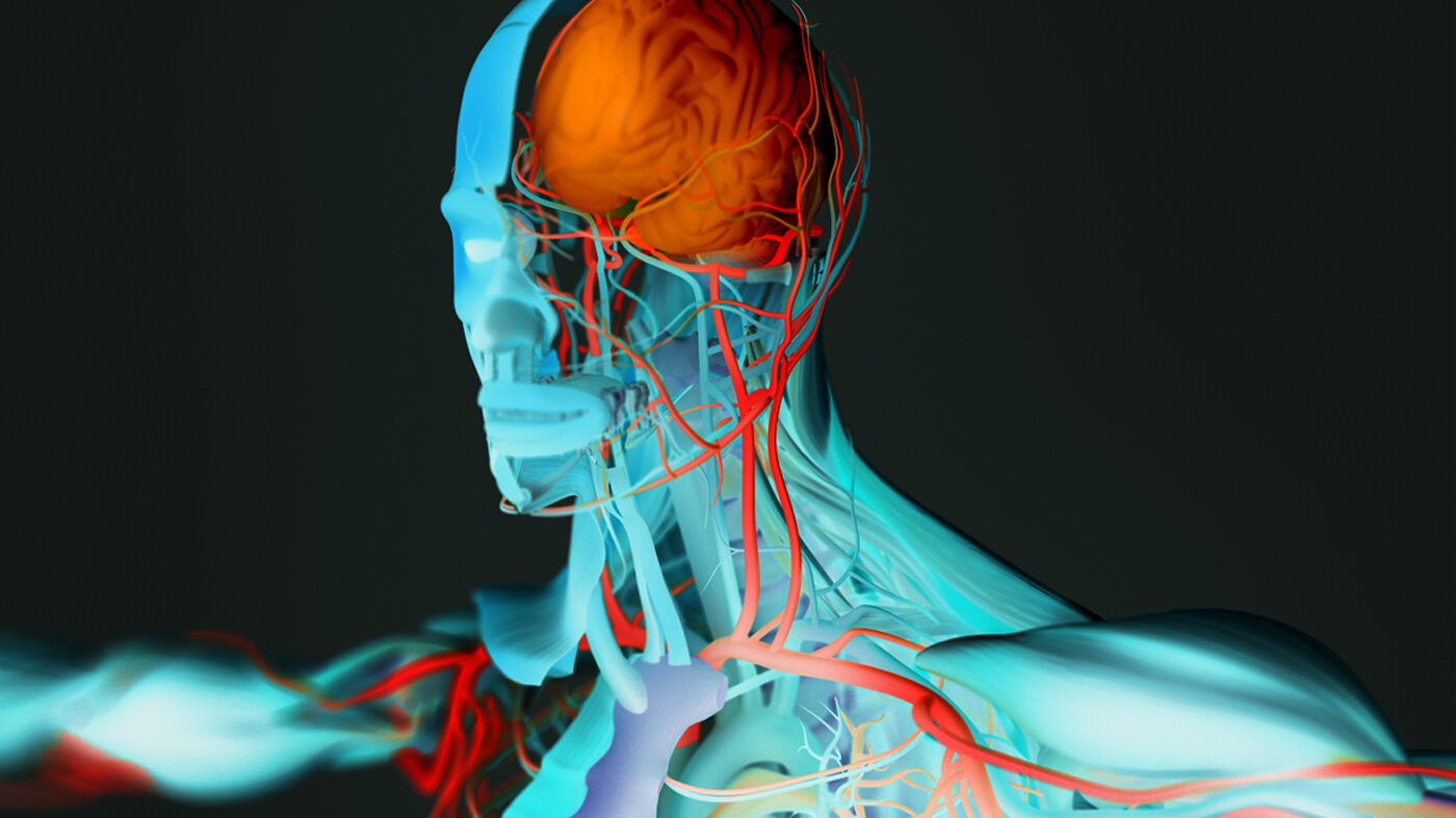 Illustrasjon av menneskekroppens anatomi