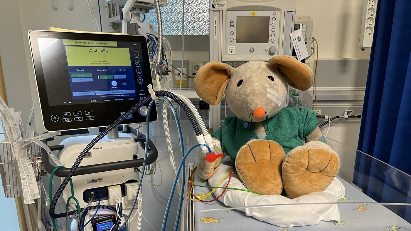 Bildet viser kosedyret Rasmus i en babyseng med respirator ved siden av