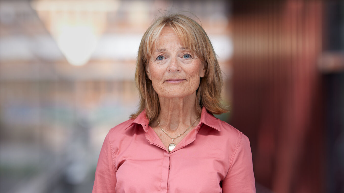Kristin Cordt-Hansen, direktør i NPE Kristin Cordt-Hansen, direktør i NPE