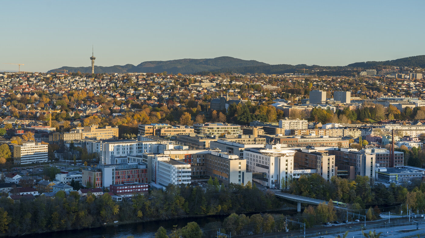 Oversiktsbilde over St. Olavs hospital