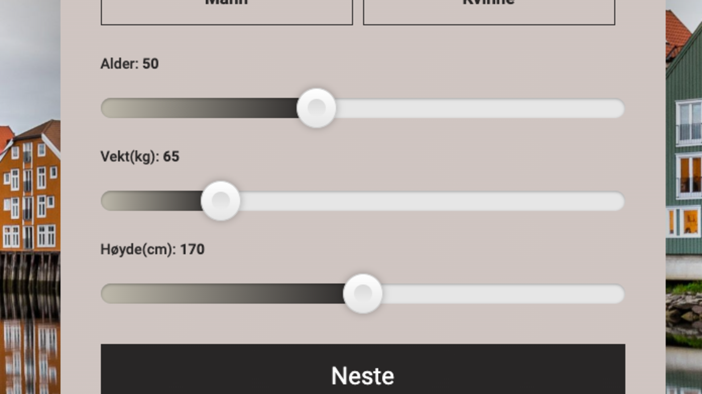 bilde av nettside