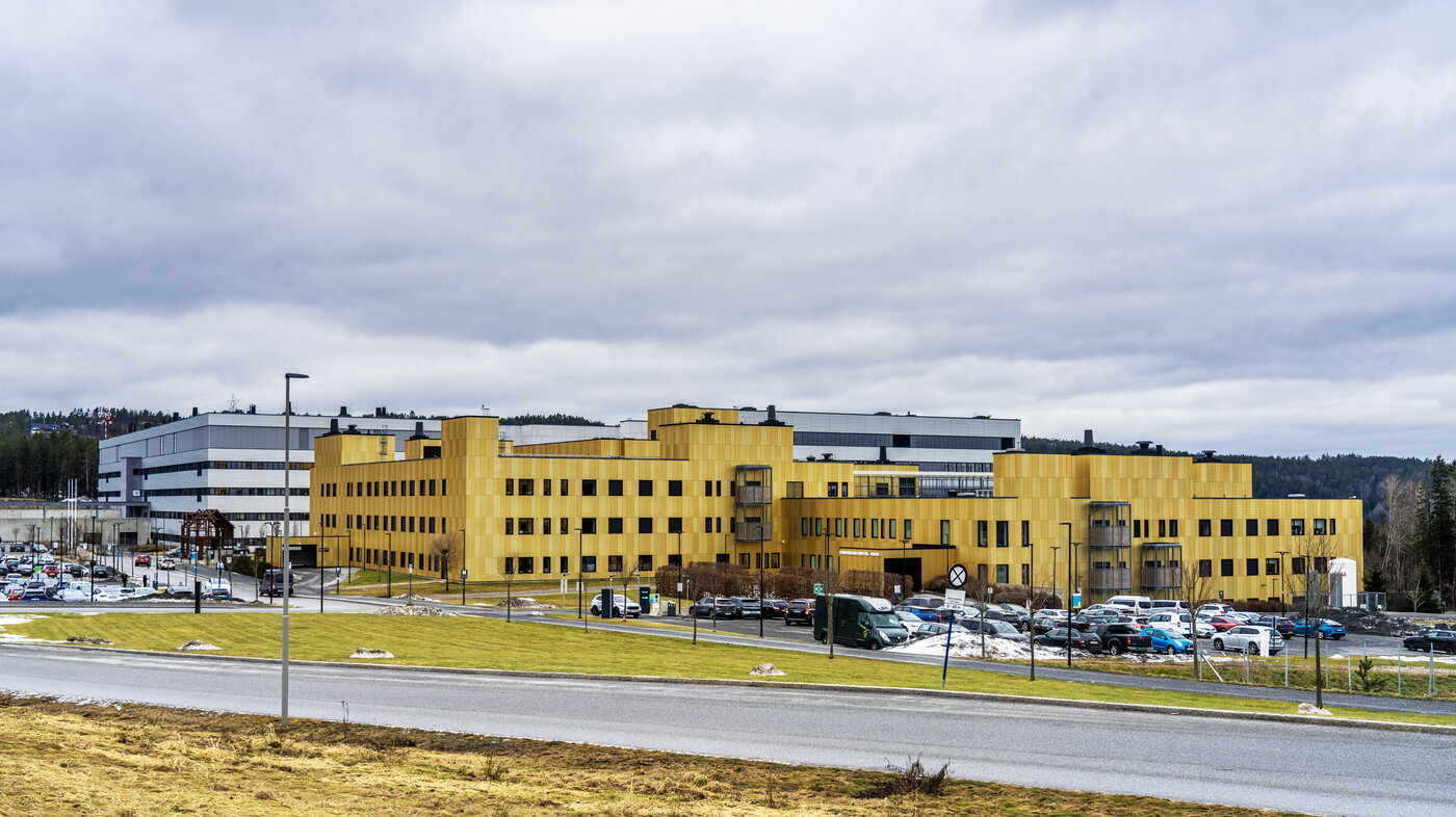 bilde av kalnes