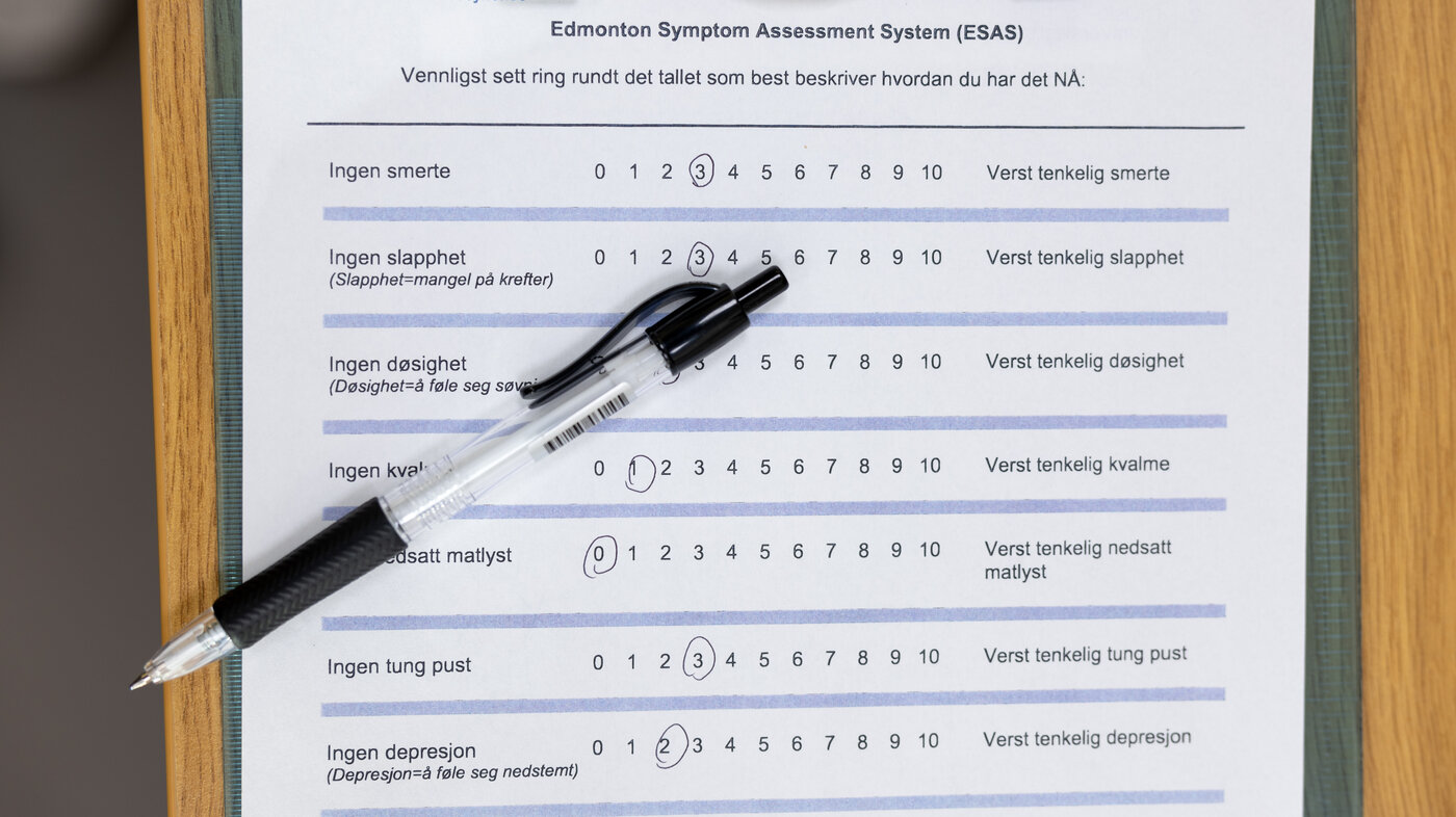 ESAS-skjema til utfylling