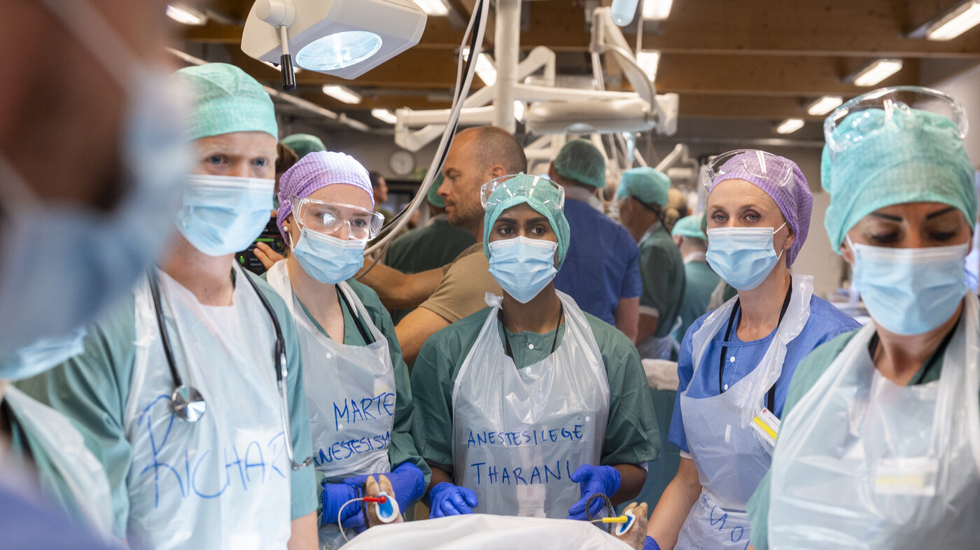 Operasjon, kirurgi, Live Tissue Training Bildet viser teamet som tar imot grisen.
