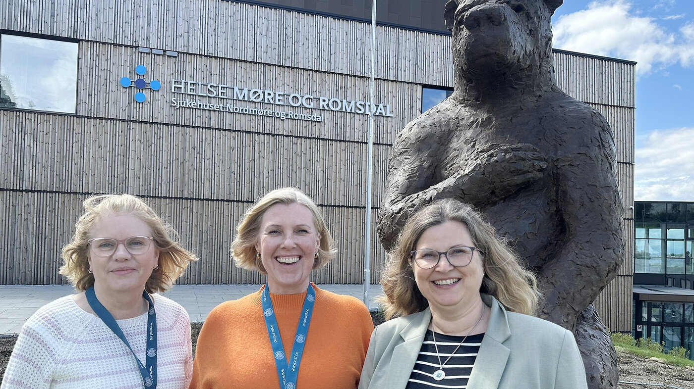 bilde av tillitsvalgte i nsf møre og romsdal samt snr