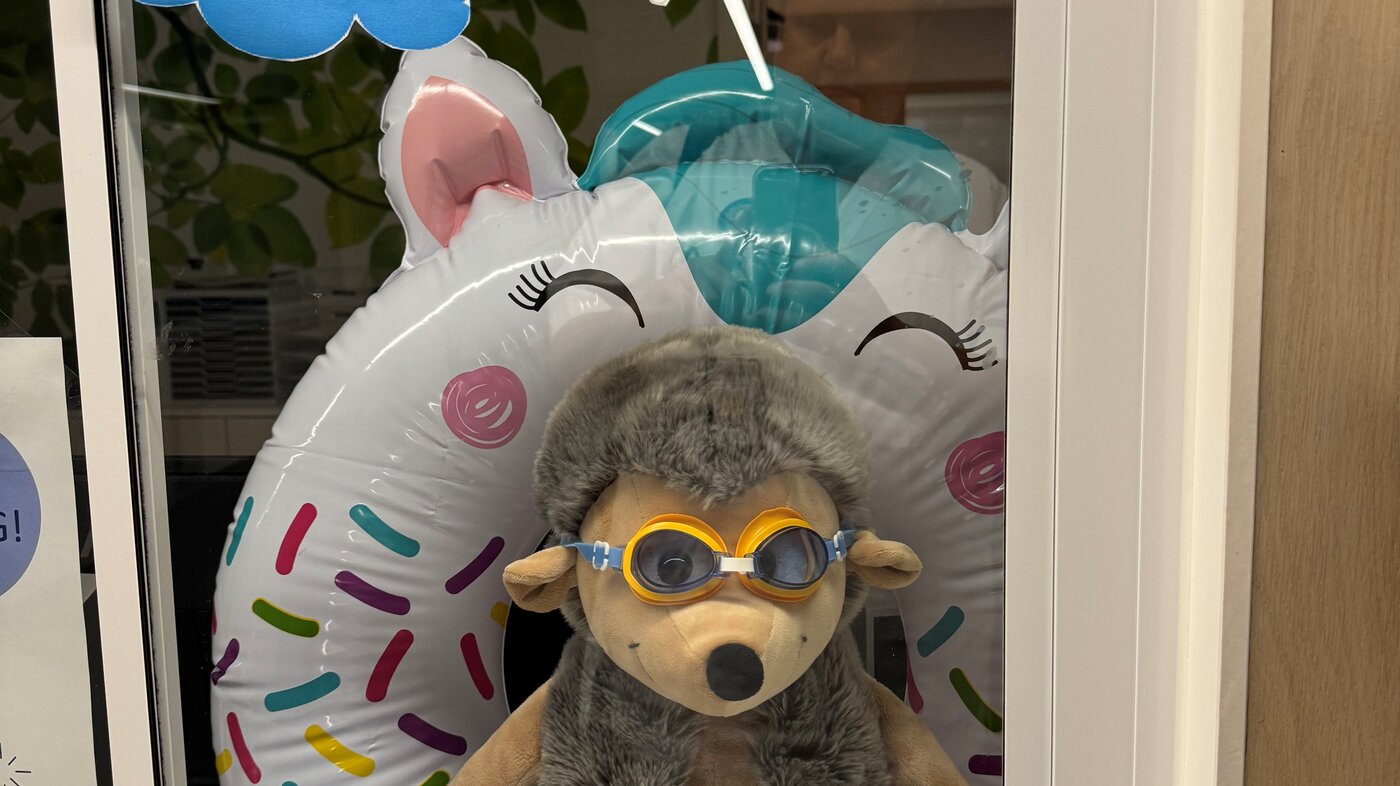 Bamse i vinduet
