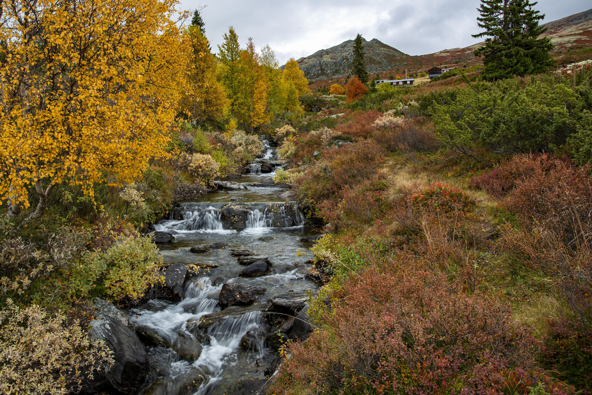 Høstfarger i Gravdalen på fjellet mellom Kvam og Vinstra i Gudbrandsdalen