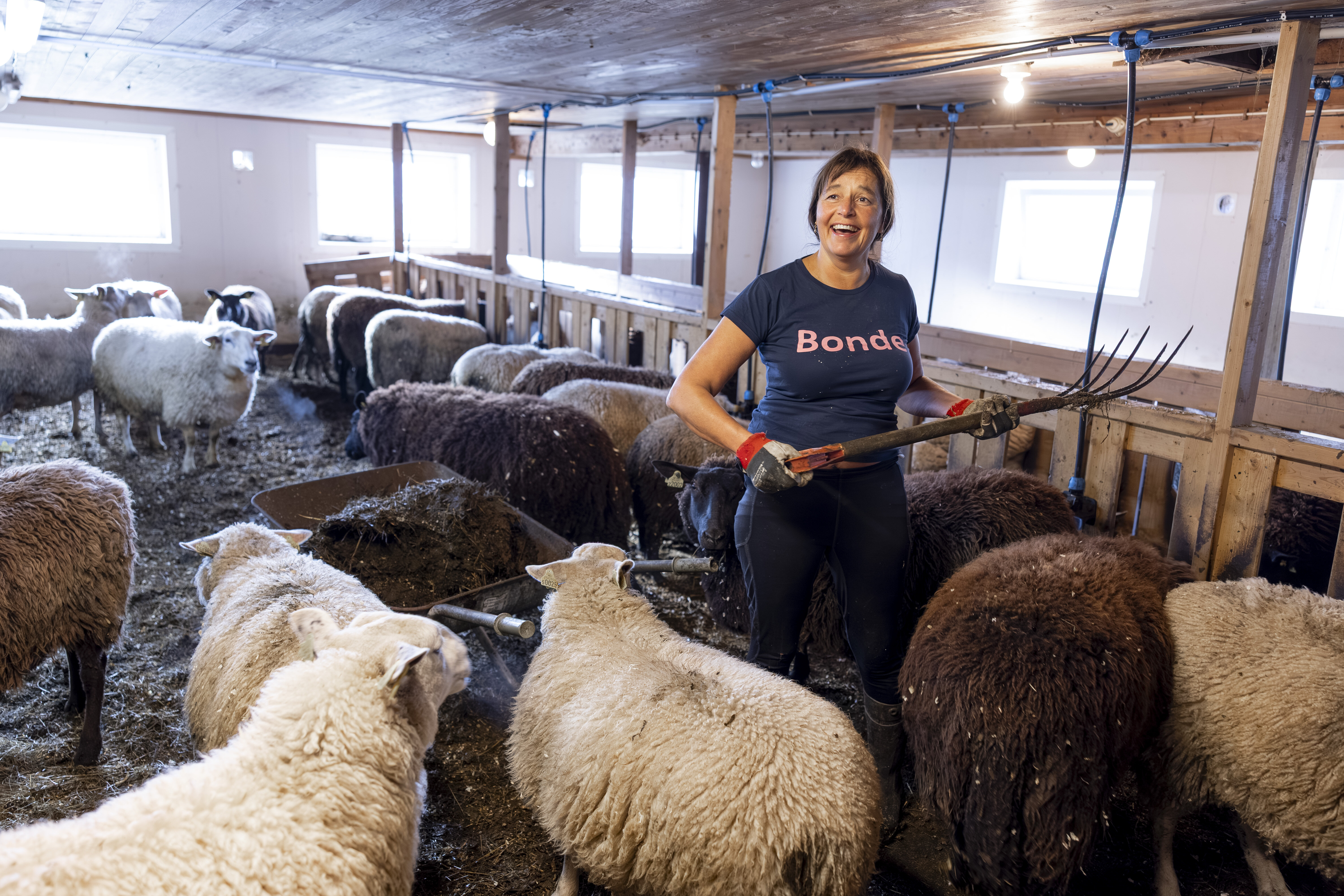 Bildet viser Bjørg Randmæl i fjøset