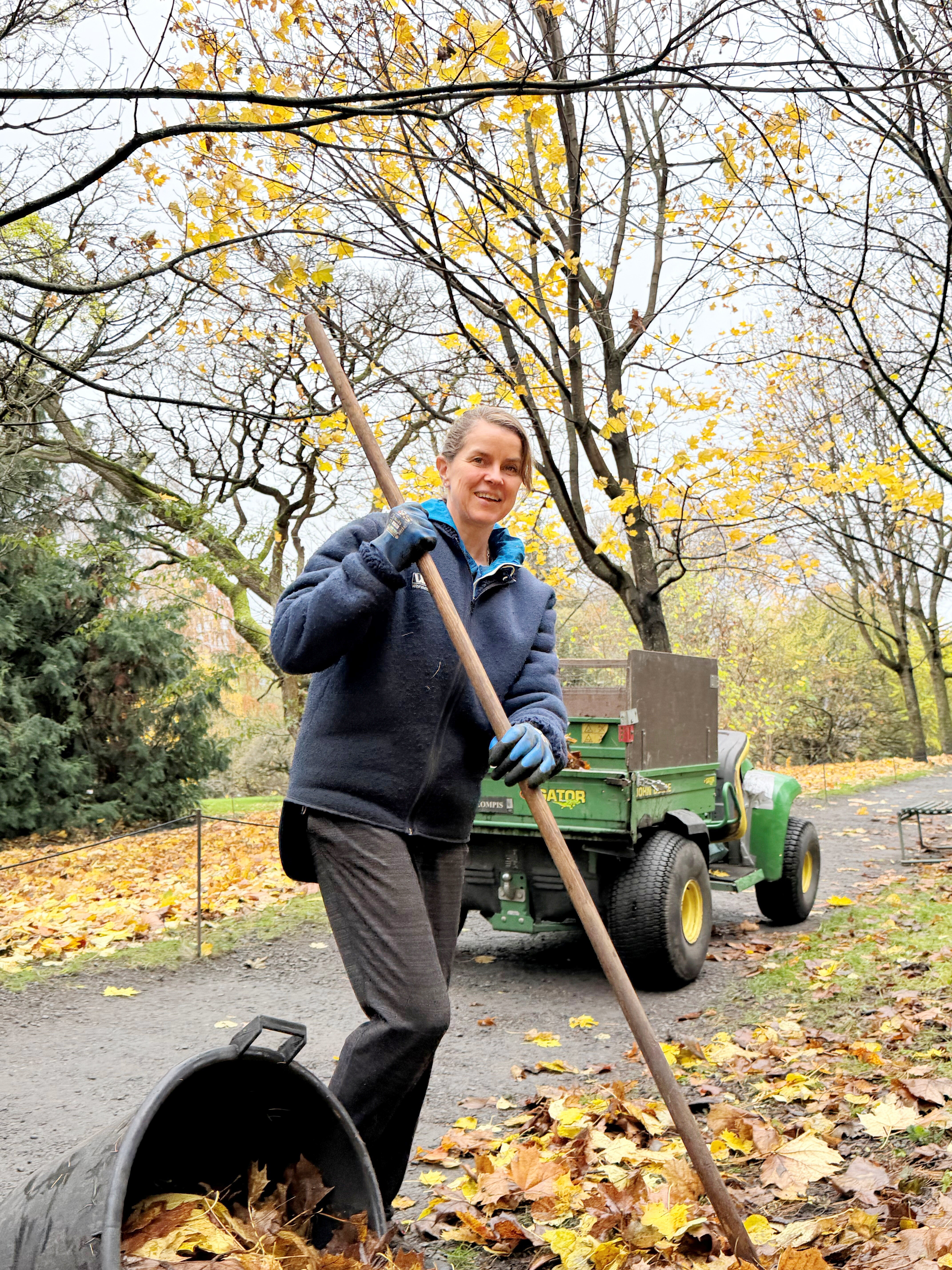 bilde av anita høyum som raker løv