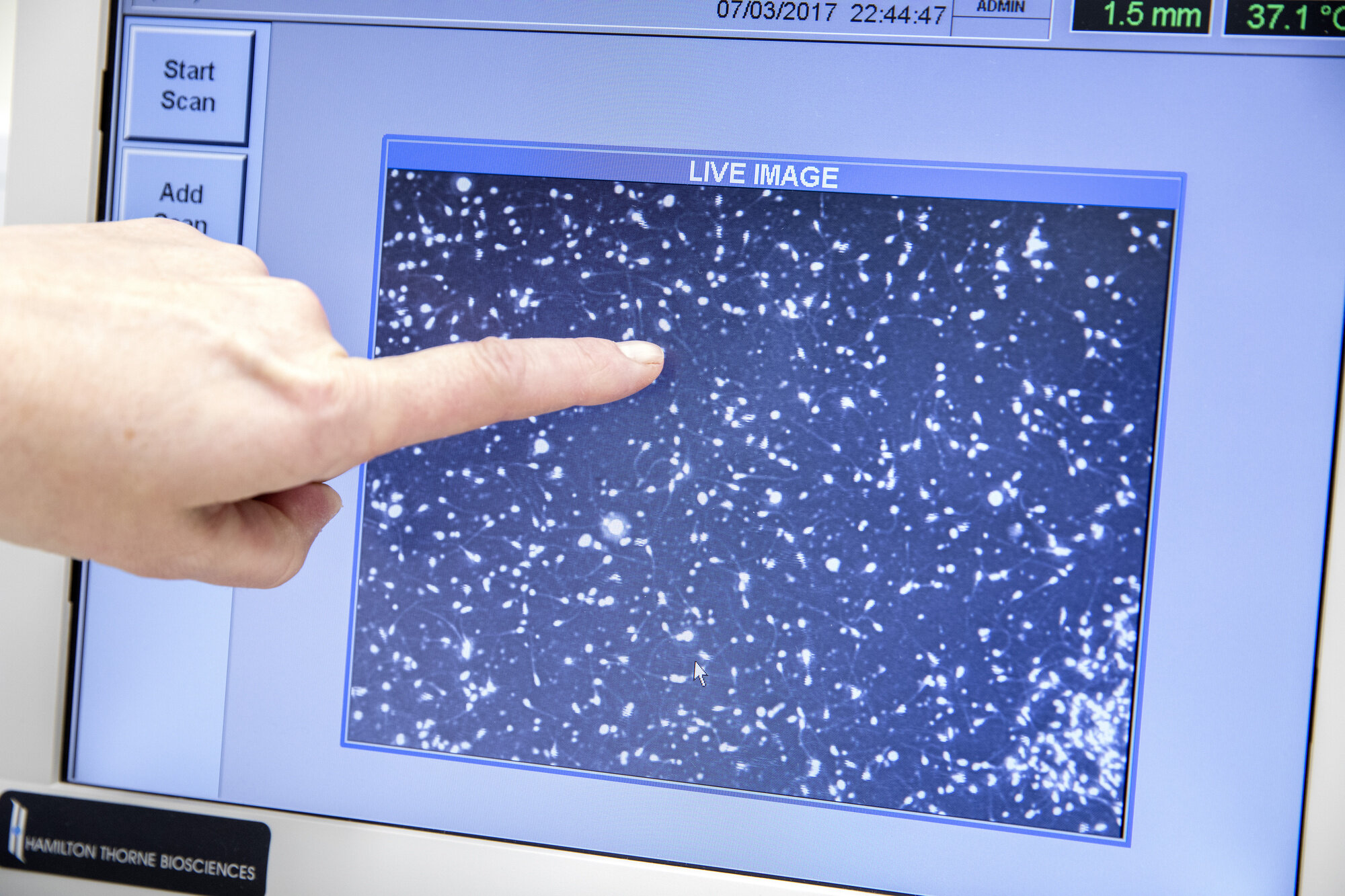 Bildet viser særprøver som vurderes.