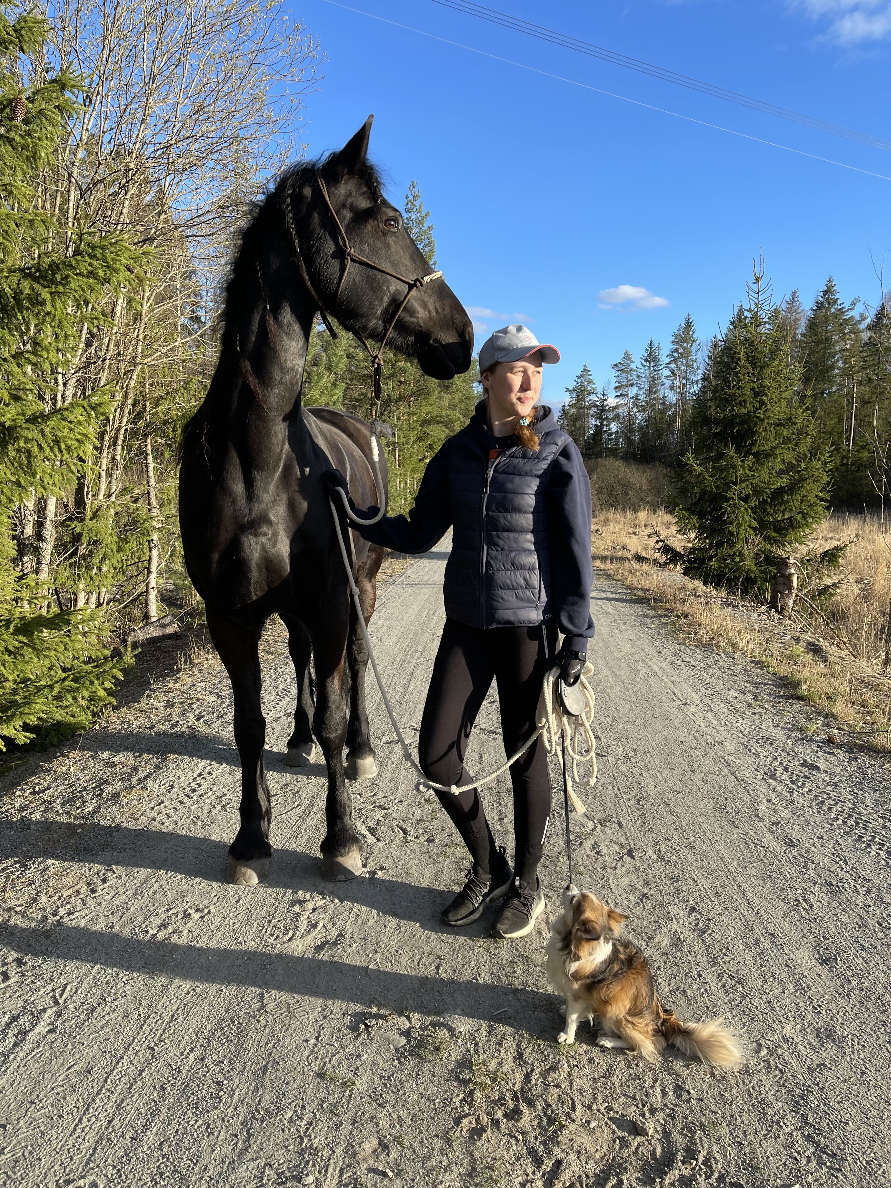Bildet viser Maria-Cecilie Husby sammen med hest og hund Bildet viser Maria-Cecilie Husby sammen med hest og hund