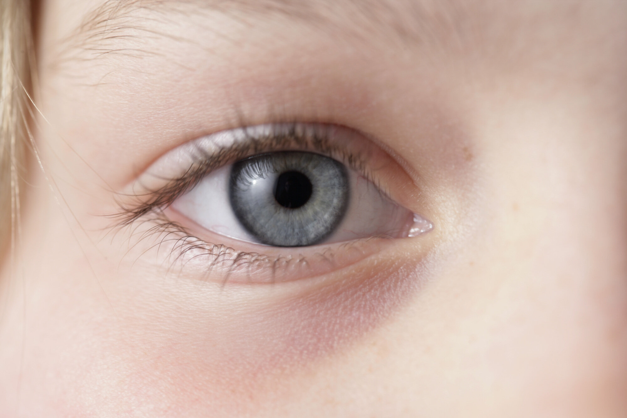 Bilde av øye