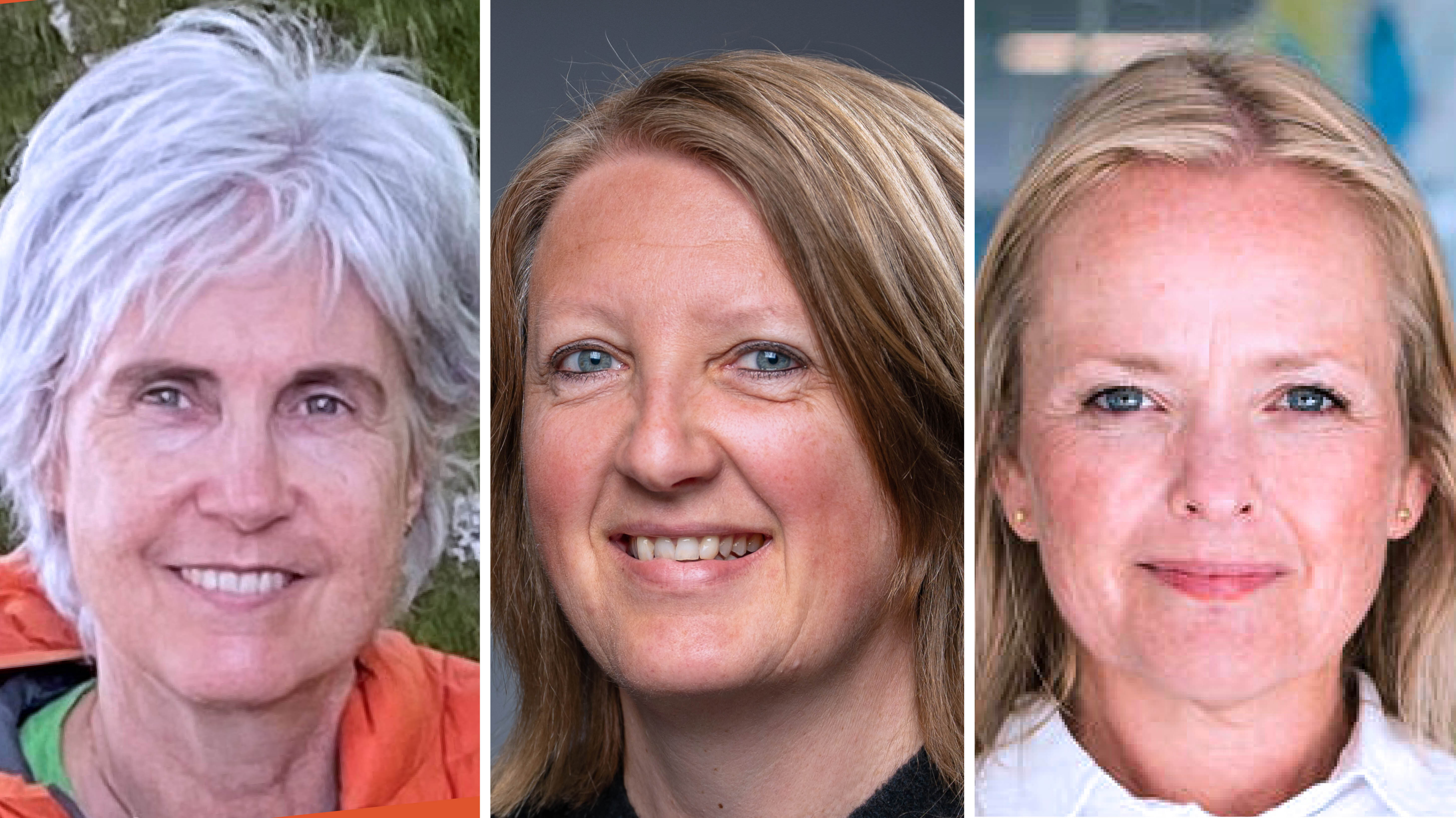 Hilde Smith-Strøm, Alette Heggernes Svellingen og Karen Rosnes Gissum 