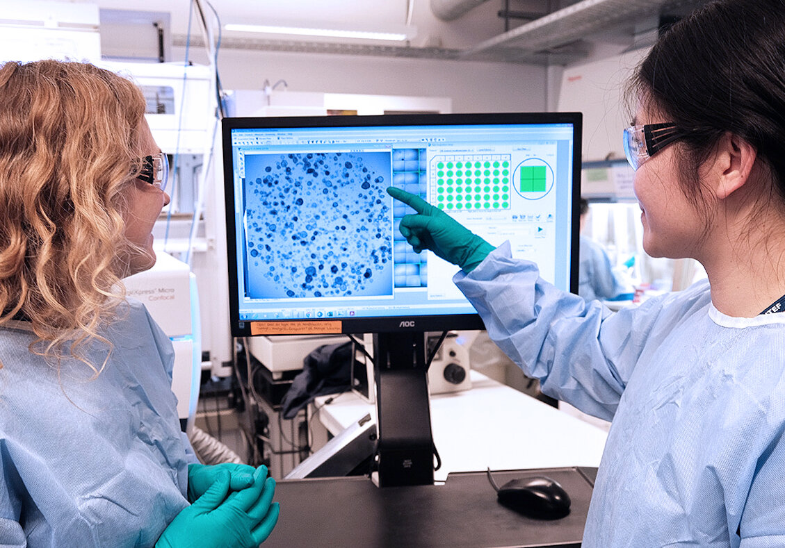 Bilde av celler p&aring; dataskjerm