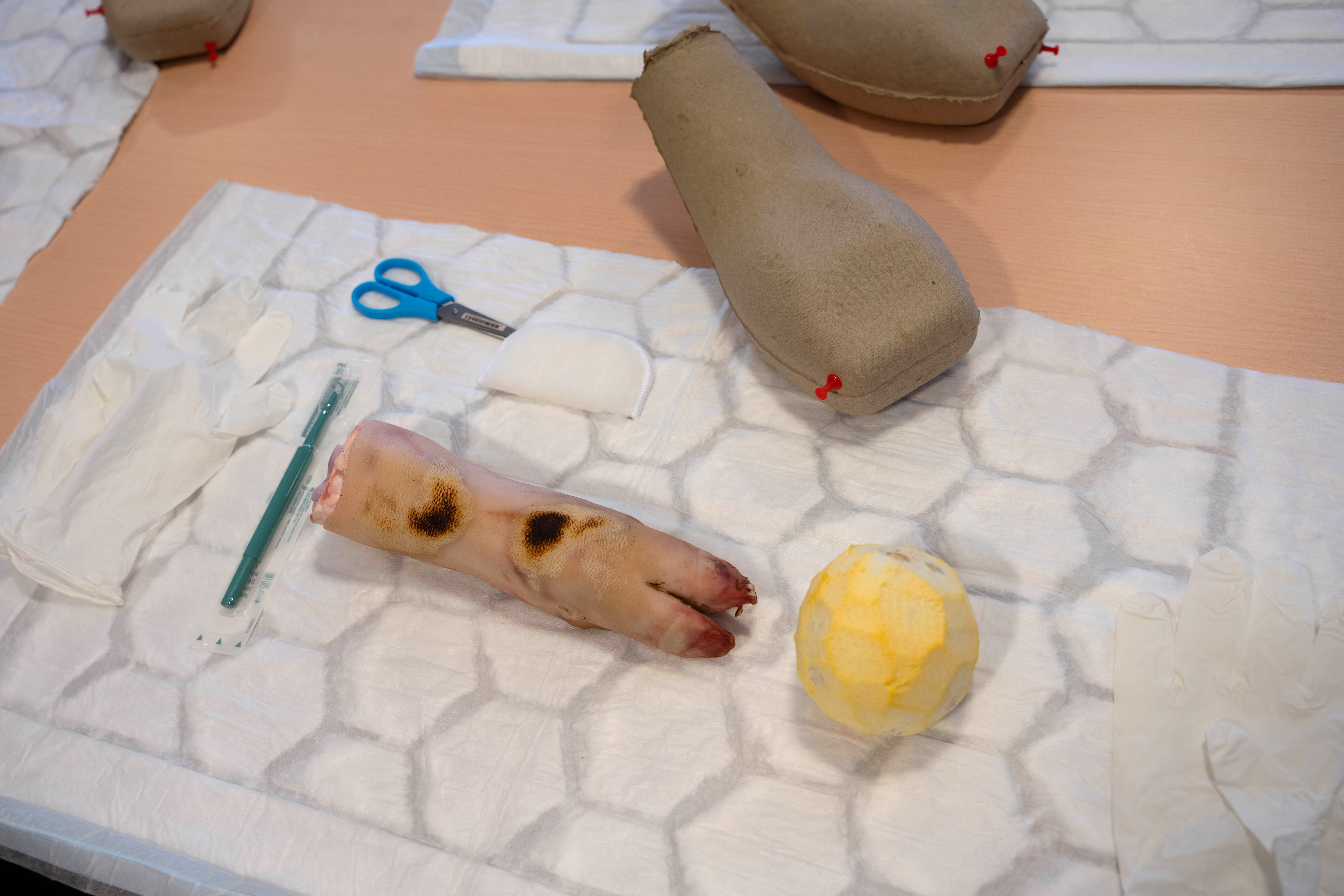 Svinelabb og appelsin Svinelabb og appelsin